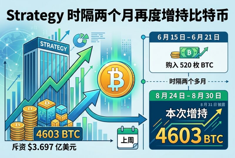 Strategy 时隔两个月再度增持比特币-指挥使社区 - 真实线索、热点议题与深度观察
