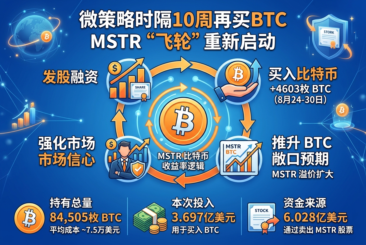 微策略时隔 10 周再买 BTC：MSTR 为何越涨越能买？