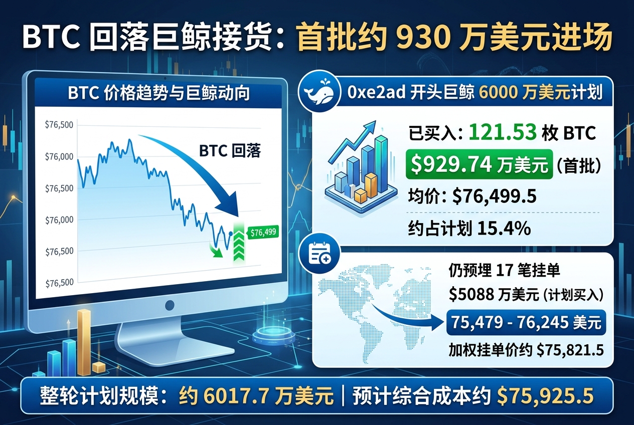 BTC 回落触发巨鲸约 6000 万美元接货计划，首批 930 万美元已进场