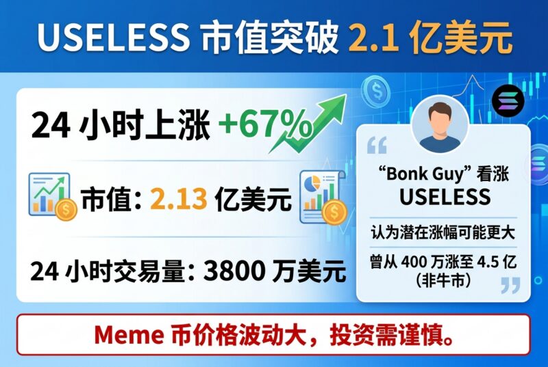 USELESS 24 小时上涨 67%,市值升至 2.13 亿美元-指挥使社区 - 真实线索、热点议题与深度观察