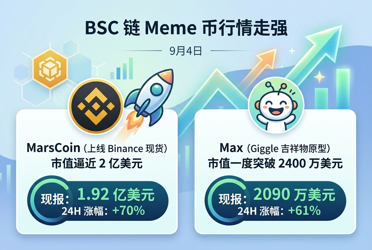 BSC 链 meme 币行情走强