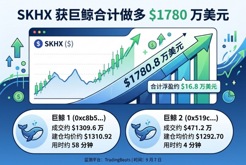SKHX 今日新增两笔大单，巨鲸合计做多 1780 万美元-指挥使社区 - 真实线索、热点议题与深度观察