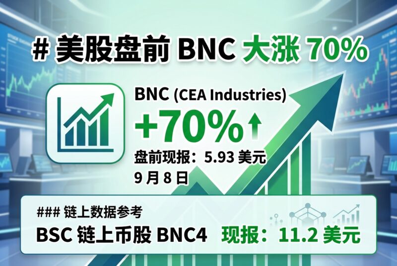 美股盘前 BNC 涨幅扩大至 70%-指挥使社区 - 真实线索、热点议题与深度观察