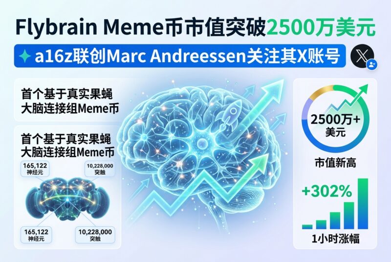 Meme 币 flybrain 市值突破 2500 万美元,a16z 联创关注其官方 X 账号-指挥使社区 - 真实线索、热点议题与深度观察