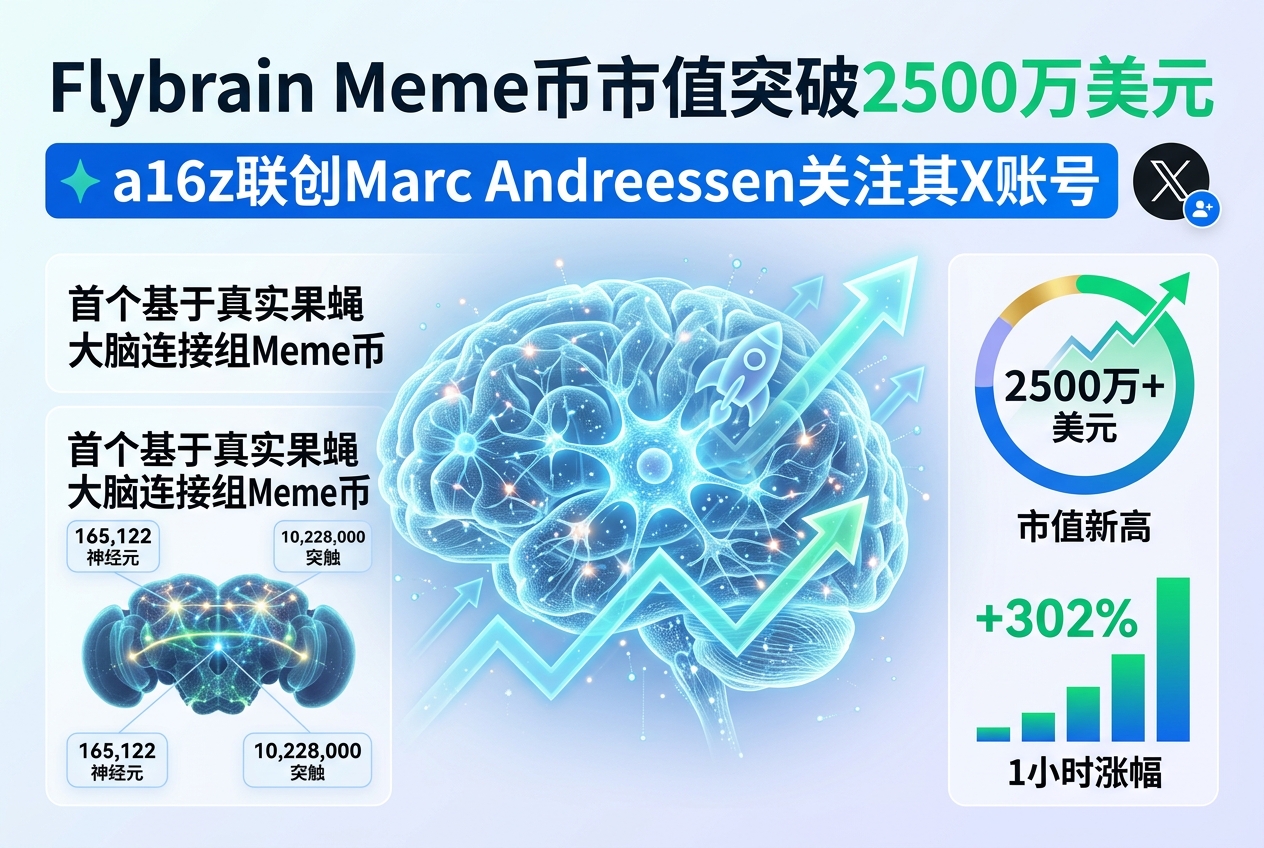 Meme 币 flybrain 市值突破 2500 万美元,a16z 联创关注其官方 X 账号