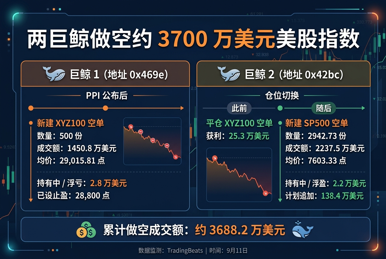 两巨鲸做空约 3700 万美元美股指数