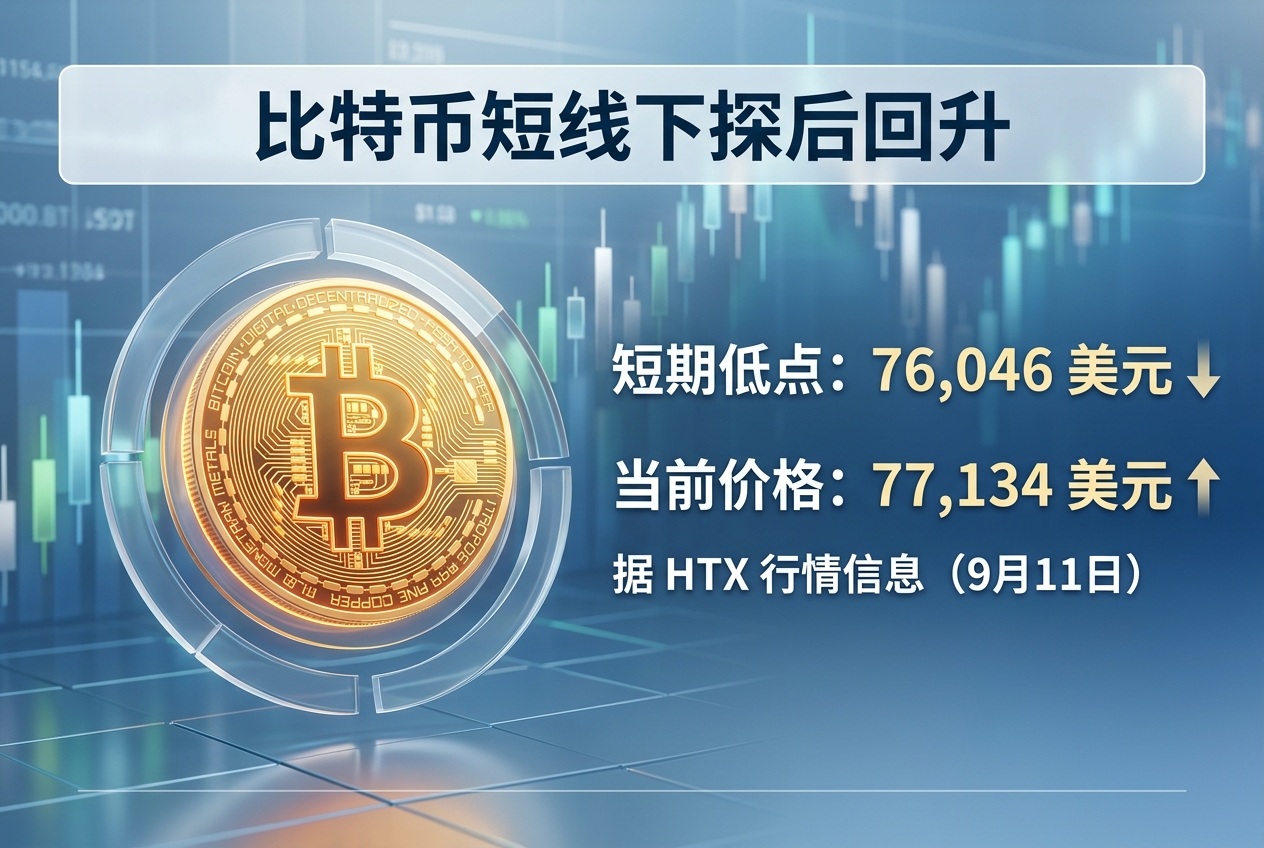 比特币短线下探至 76,046 美元，现报 77,134 美元