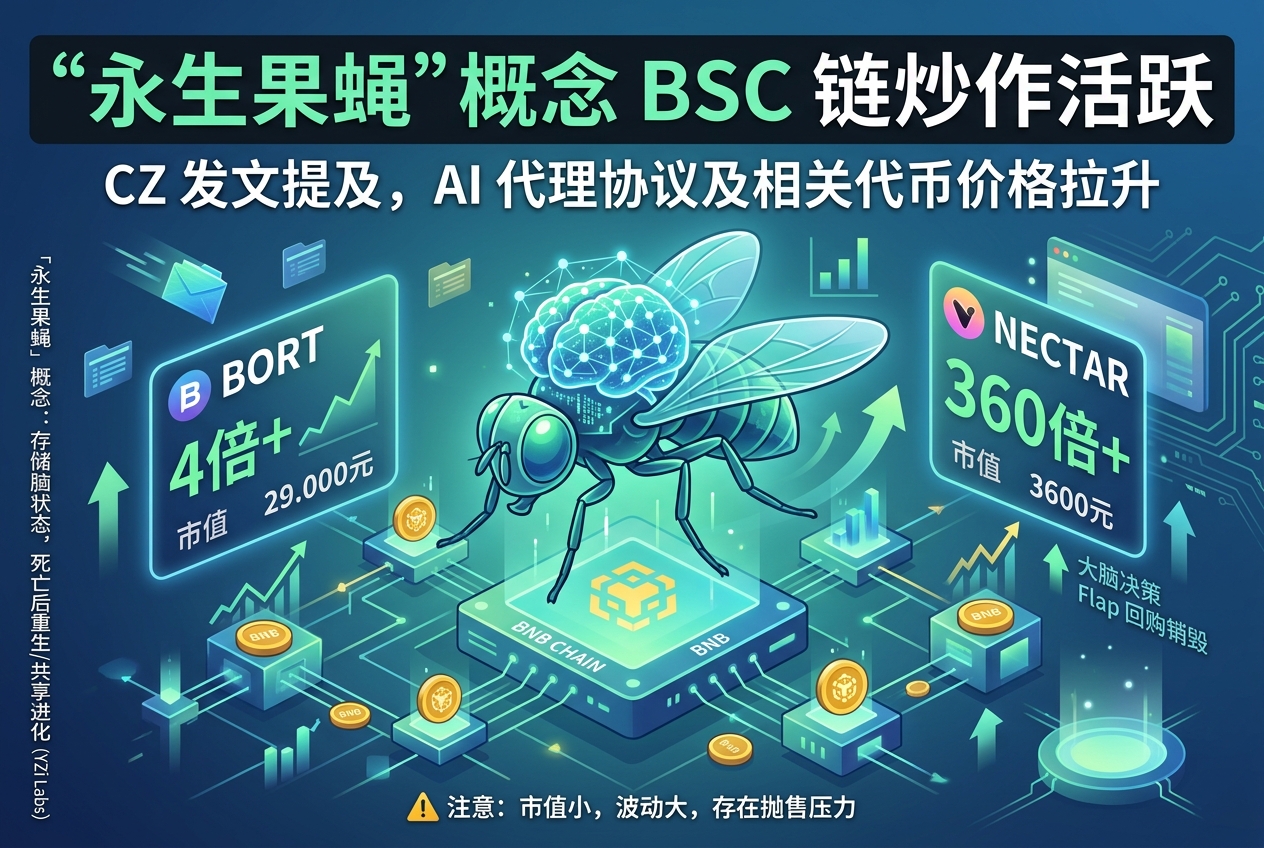 CZ 提及链上“永生果蝇”,BSC 链相关概念炒作活跃